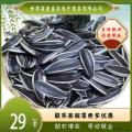 康乐县生葵花籽新货