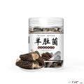 康县精品羊肚菌25g