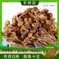 康乐县自产茶树菇250克