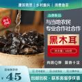 康乐县自产黑木耳250克甘肃康如商贸包邮包税