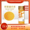 康乐县精选油小米（罐装500g）