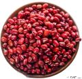 康乐县农家红小豆500g（包税包邮）