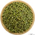 康乐县农家绿豆500g（包税包邮）