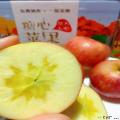 康乐县精选冰糖心红富士苹果10斤装18枚85#特大果