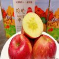 康乐县精选冰糖心红富士苹果10斤装18枚85#特大果