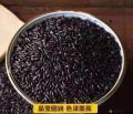 康乐县农家有机黑米500g（包税包邮）