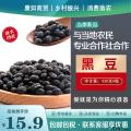 康乐县黑豆康如商贸430克罐装包邮包税量大优惠