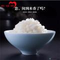 精选稻花香大米(5kg/份）康乐县康谷尚品扶贫车间