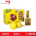 甘肃啤特果汁饮料20罐装