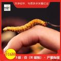冬虫夏草特级（10g*盒）30根装