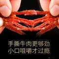 康乐县手撕牛肉干4种口味