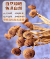 袋装茶树菇200g