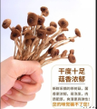袋装茶树菇200g