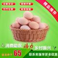 康乐农家散养土鸡蛋40枚