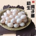 正宗农家散养土鸽蛋（包税包邮）