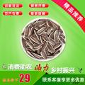 康乐县葵花籽500g