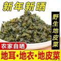 康县特产地皮菜 纯野生户外生长 50g×2袋装包邮