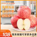 【水果类】香甜苹果红富士（大果约4.5kg）