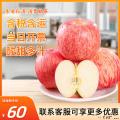 【水果类】香甜苹果红富士（大果约2.5kg）