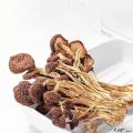 康县茶树菇【200克/袋】菇味浓郁 四海飘香 适合炖汤 爆炒 涮火锅