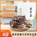 精选优质康乐鹿茸菇200g