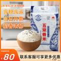 五常青花瓷香米5kg