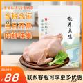 康乐散养当归鸡1250G
