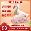 农村散养土鸭子整只 1350g