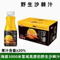 高原野生沙刺汁