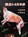 农家散养草膘羊羔《一整只羊》30斤左右