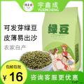 康乐县精选绿豆（袋装500g）