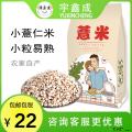 康乐县精选薏仁米薏米（袋装500g）