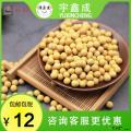 康乐县农家黄豆打豆浆原料500g