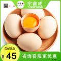 康乐县黄芪鸡蛋25枚装