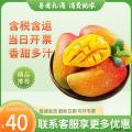 水果类香甜多汁贵妃芒大果(大果约2.5kg)
