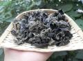 康县黑木耳干货  自由种植基地   20斤