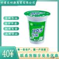 西瓜味的童话清爽消暑绿豆冰沙300ml*8瓶