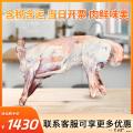 高原溜达羊羔整只	26斤-27斤