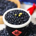 康乐县农家自种自留黄芯黑豆500g五谷杂粮