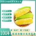 即食新鲜免煮水果玉米30只装
