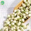 茉莉花2025新茶浓香茉莉花茶