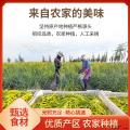 康县无硫黄花菜250克/袋