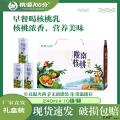 陇南核桃乳240ml*10罐