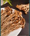 卓尼县特级不开伞茶树菇煲汤食材500g装
