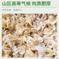 卓尼县白木耳干货  自由种植基地   20斤   食堂专供