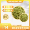 康乐县农家有机绿豆（包税包邮）