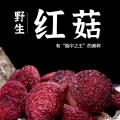 天然红菇（精品二标）