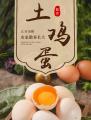 土鸡蛋（吃五谷杂粮的跑山鸡蛋）