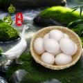 连城白鸭蛋（有药用价值的鸭子哦）