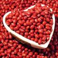 康县农家红豆非转基因